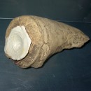 014 Oktober 09 - 3 043